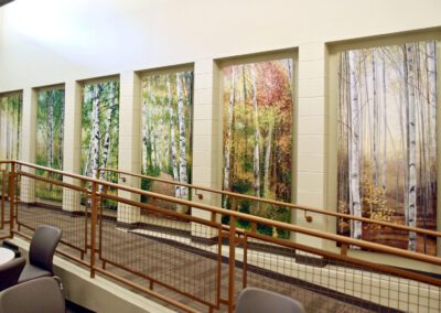 72, 100, 135. 186. Transitions (2014). Six 90 x 40 inch paintings of the state tree, the white birch. Commissioned by the State of New Hampshire and the New Hampshire Council on the Arts.